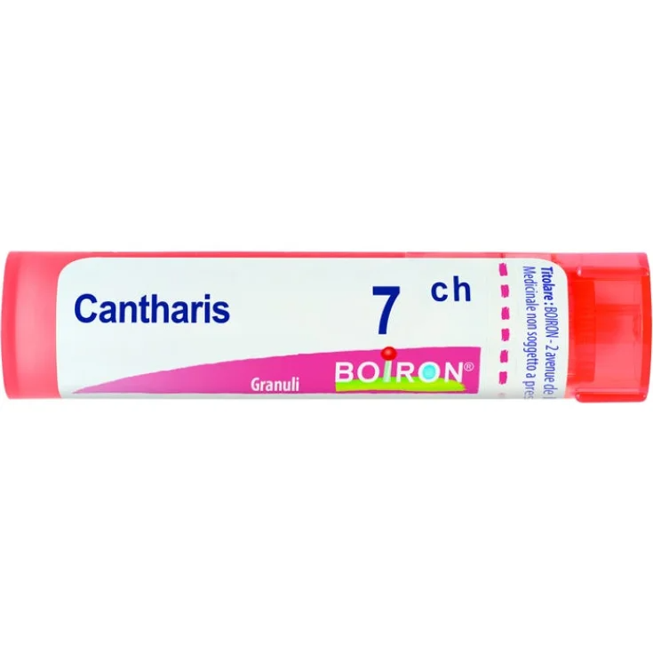 Cantharis 7ch Boiron Granules