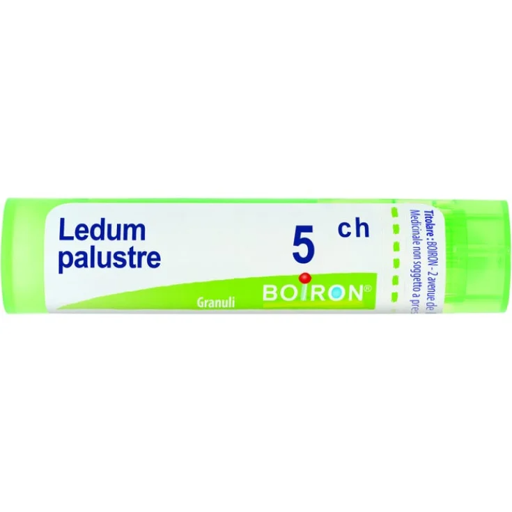 Ledum Palustre 5ch Boiron Granules