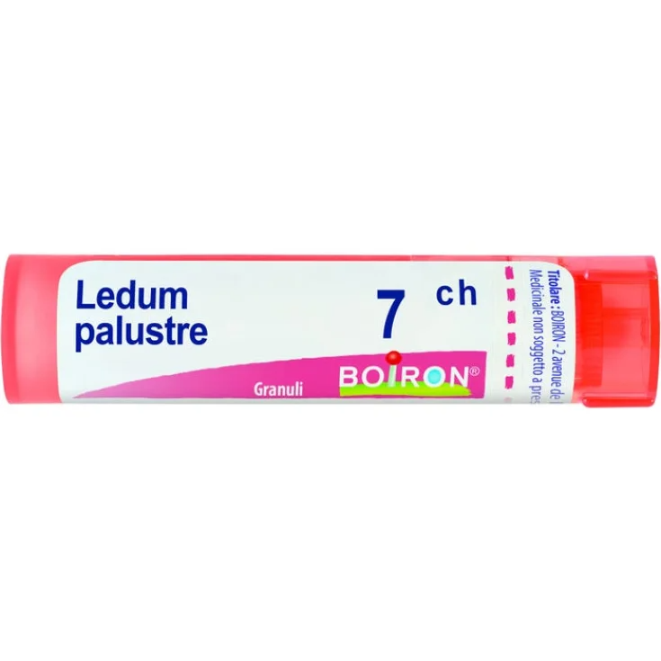 Ledum Palustre 7ch Boiron Granules