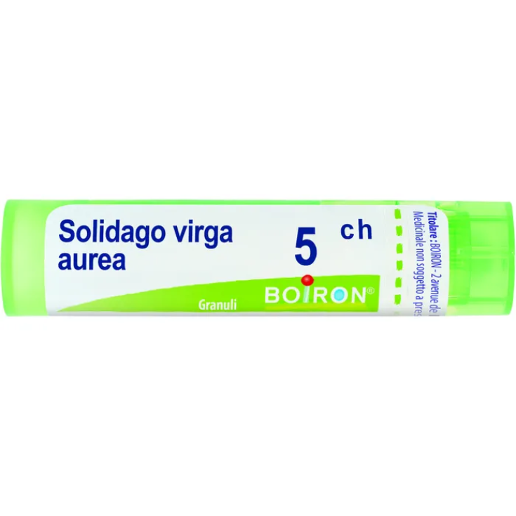 Laboratoires Boiron Solidago Virga Aurea 5ch Homeopathic Remedy In Granules