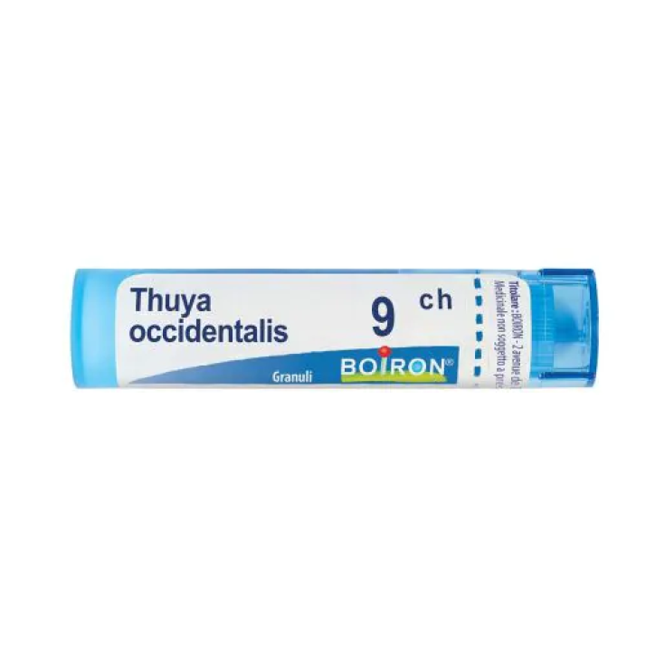 Laboratoires Boiron Thuya Occidentalis 9ch Homeopathic Remedy In Globules