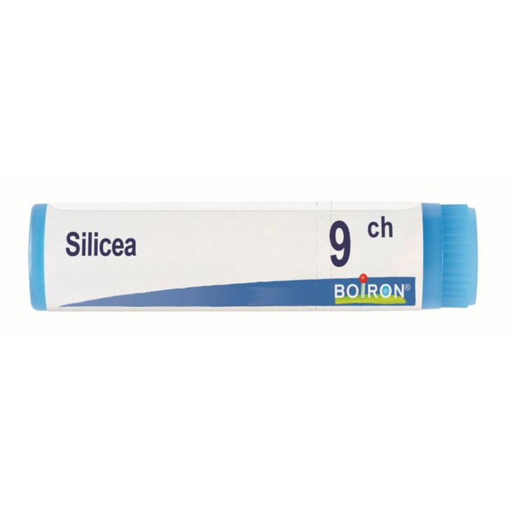 Laboratoires Boiron Silicea 9ch Homeopathic Remedy In Globules