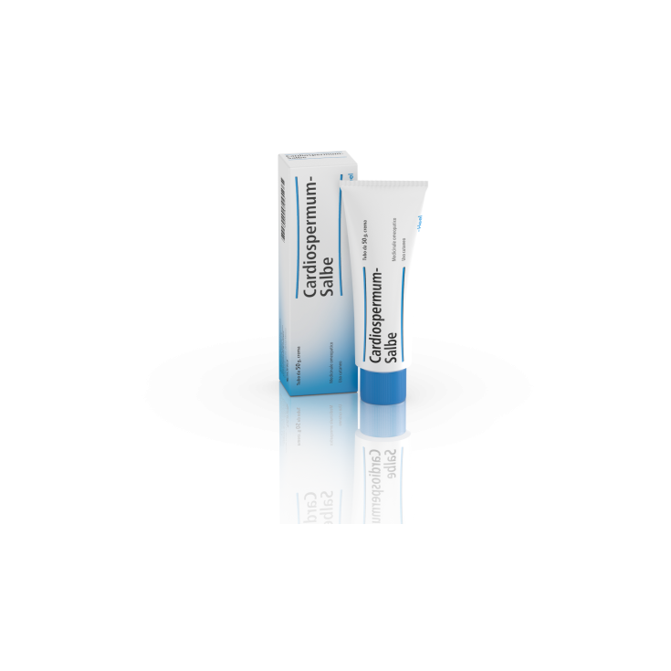 Cardiospermum Salbe Guna Cream 50g