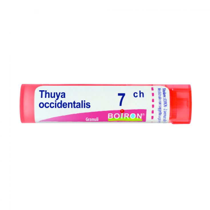 Boiron Thuya Occidentalis 7ch Granules