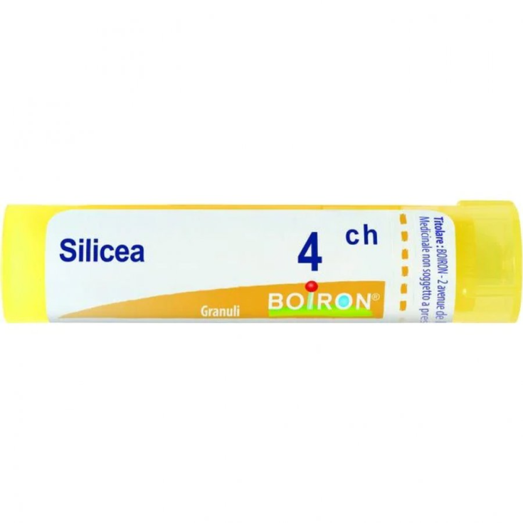 Silicea 4ch Gr