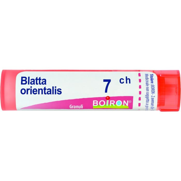 Cockroach Orientalis 7ch Boiron Granules 4g