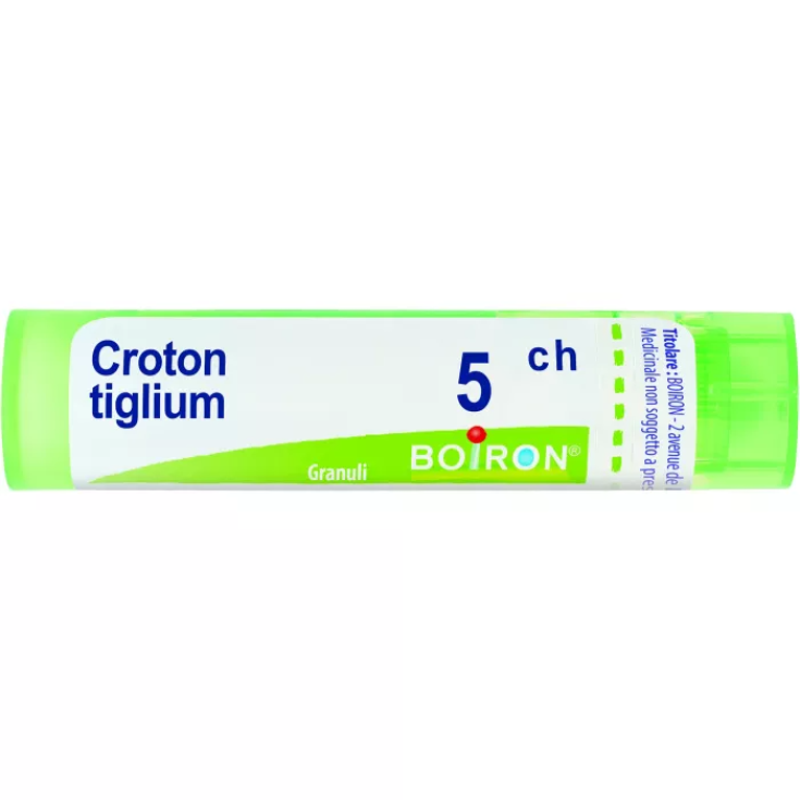 Croton Tiglium 5ch Gr