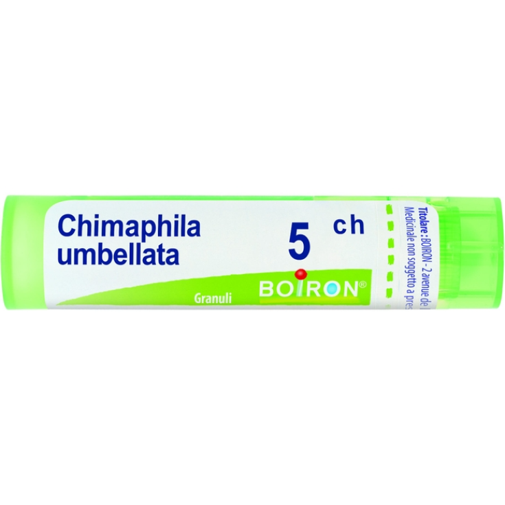 Chimaphila Umbel 5ch Gr