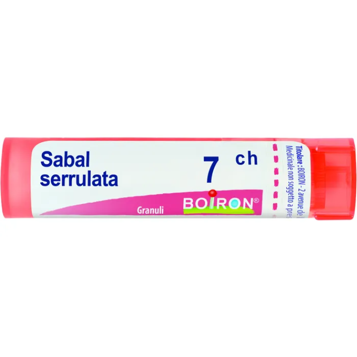 Sabal Serrulata 7ch Gr