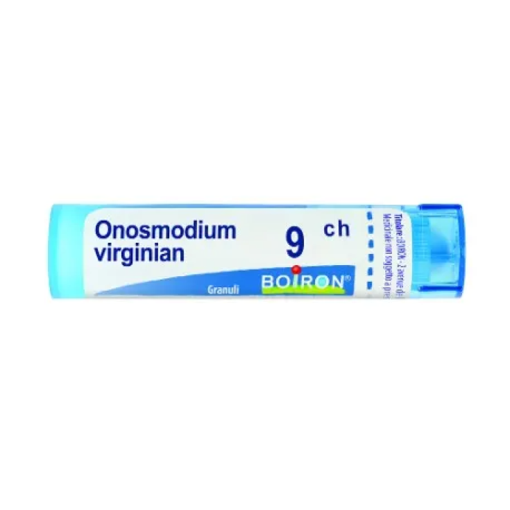 Onosmodium Virg 9ch Gr