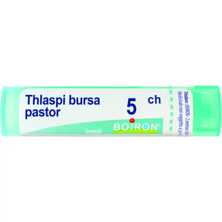 Thlaspi Bursa Past 5ch Gr