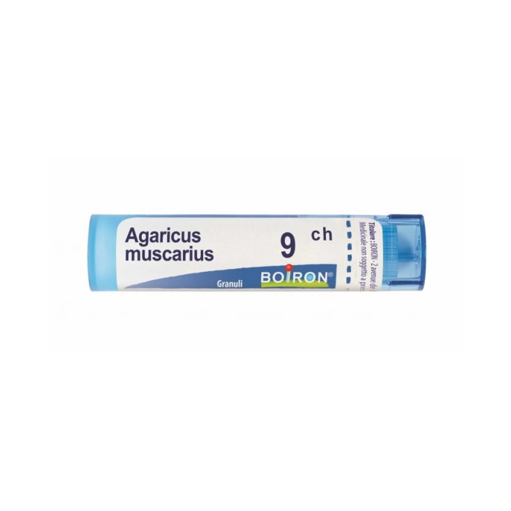 Agaricus Muscarius 9ch Gr