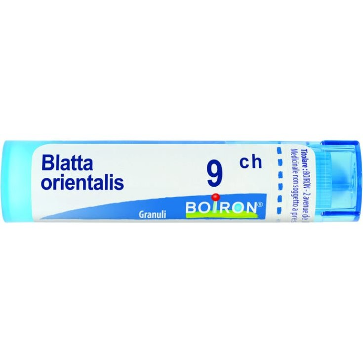 Cockroach Orientalis 9ch Boiron Granules 4g