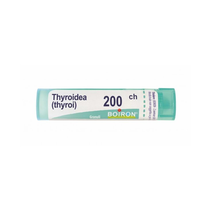 Thyroidinum 200ch Gr