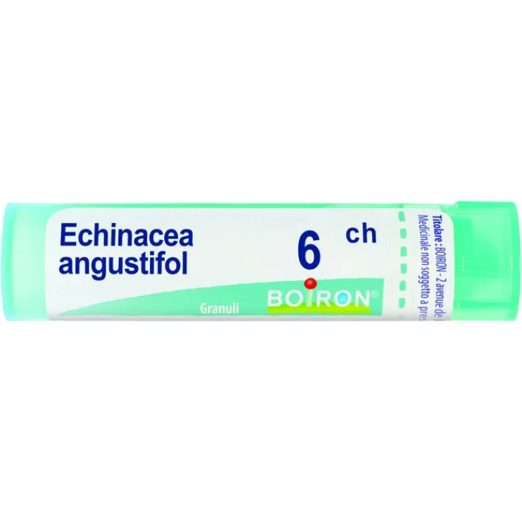 Echinacea Angust 6ch Boiron Granules