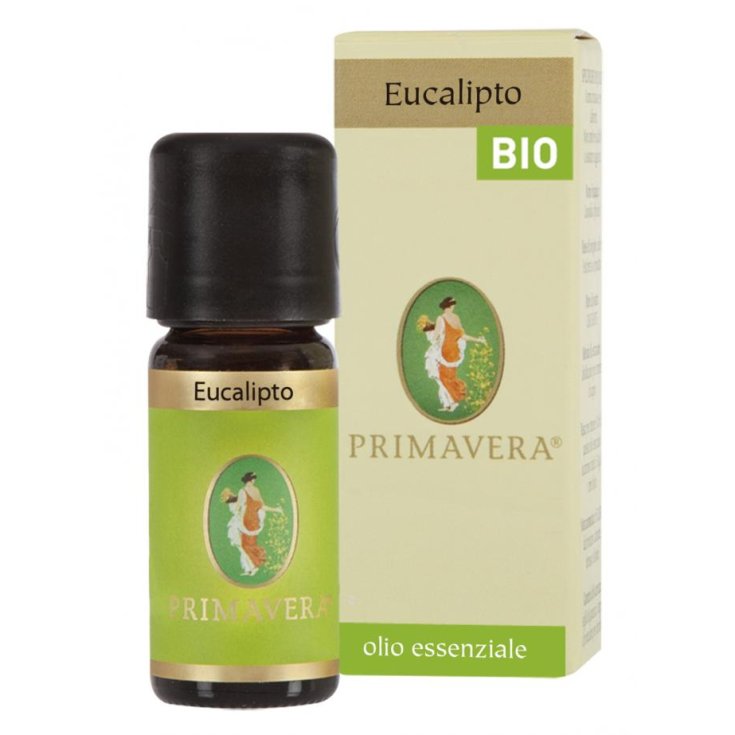 Eucalyptus Bio Oil Ess 10ml