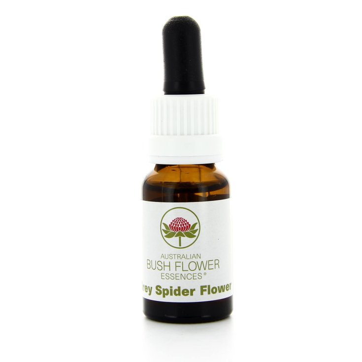 Natur Gray Spider Flow Essence 15ml
