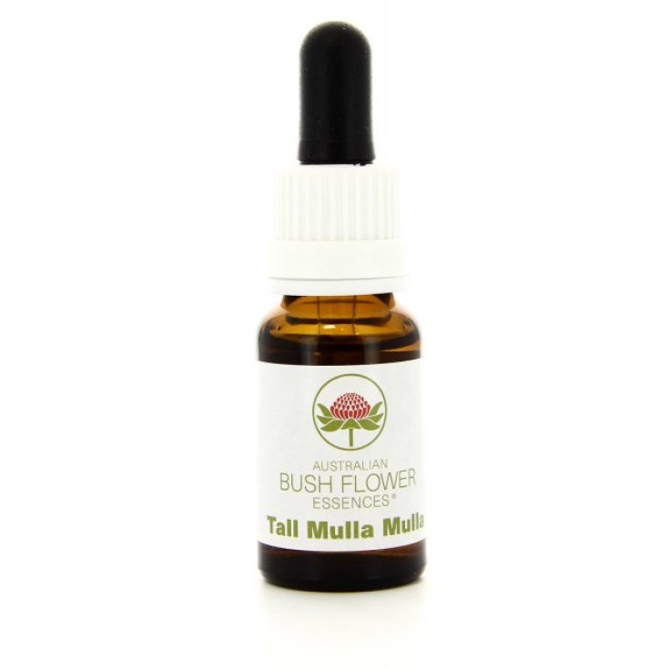 Natur Tall Mulla Mulla Essence 15ml