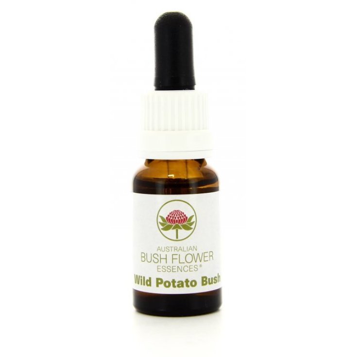 Natur Wild Potato Bush Essence 15ml