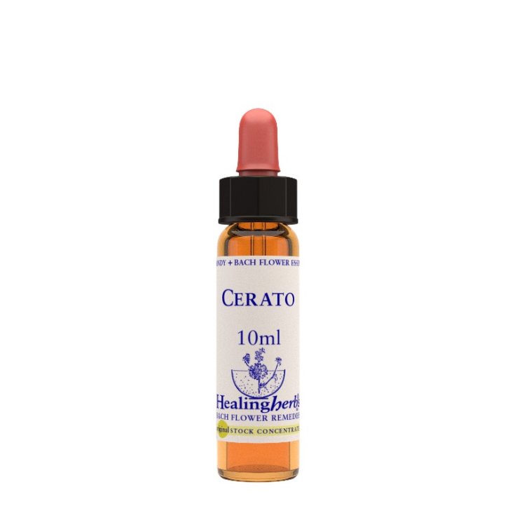 Natur Cerato Floral Essence 10ml