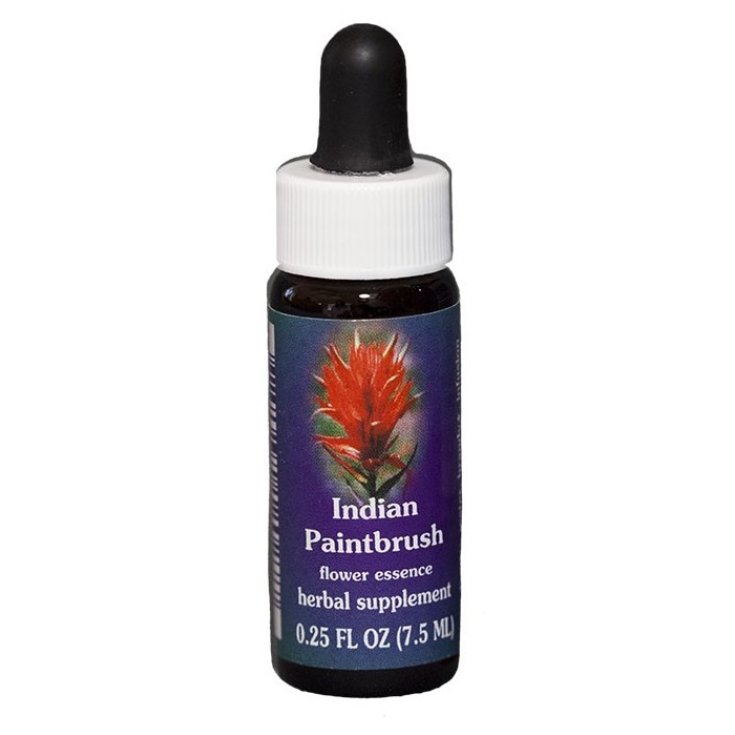 Natur Indian Paintbrush (Castilleja Miniata) Californian essences 7,4ml