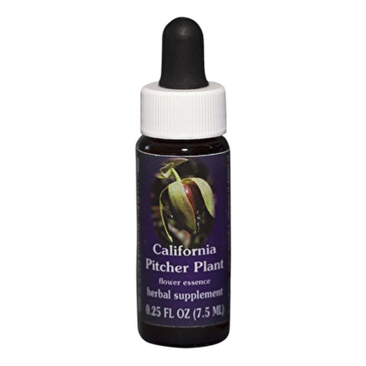Natur California Pitcher Plant (Darlingtonia Californica) Californian essences 7,4ml