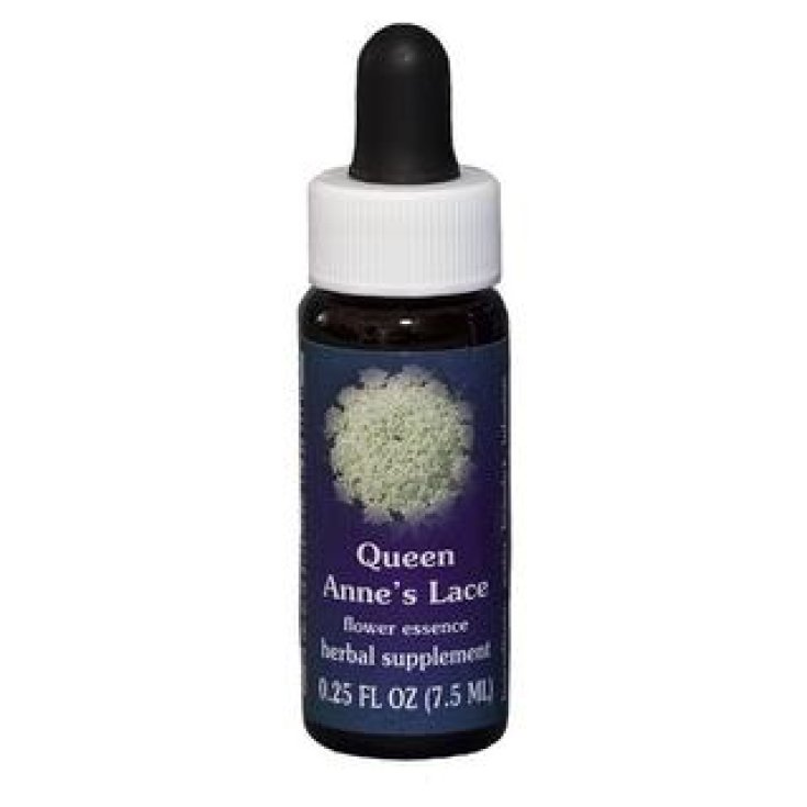 Natur Queen Anne's Lace (Daucus Carota) Californian essences 7,4ml