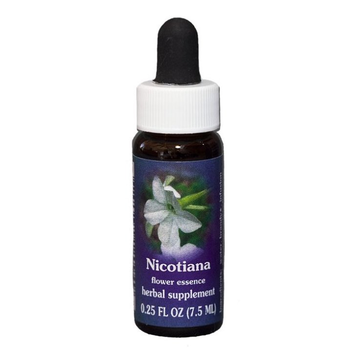 Natur Nicotiana (Nicotiana Alata) Californian Essences 7,4ml