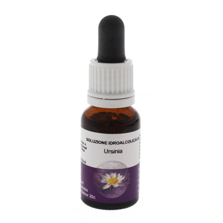 Natur Ursinia Australian Essences 15ml