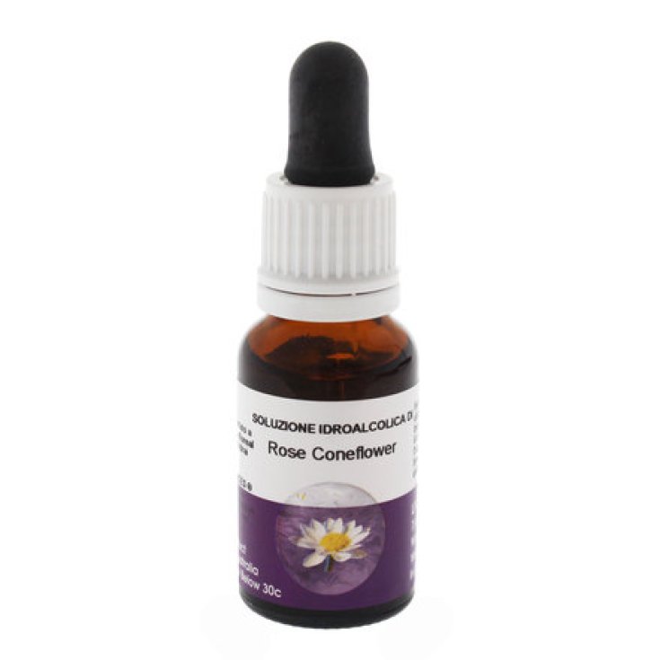 Natur Rose Coneflower Australian Essences 15ml