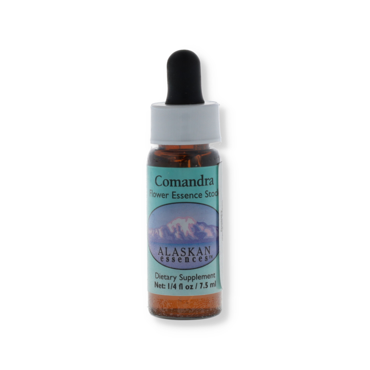 Comandra Floral Essences of Alaska 7.4ml