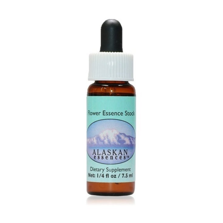 Green Bog Orchid Floral Essences of Alaska 7,4ml