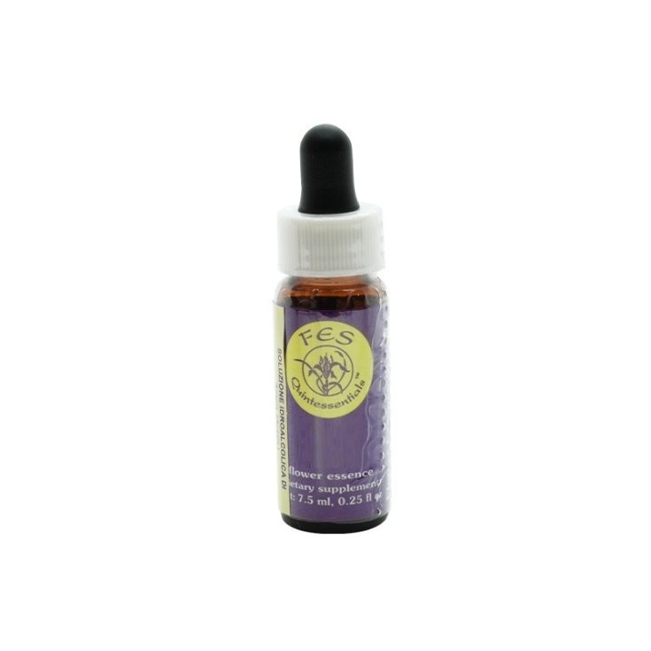 Natur Blazing Star Californian Floral Essences 7,4ml