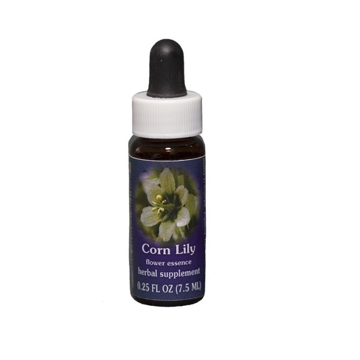 Natur Corn Lily Californian Floral Essences 7,4ml