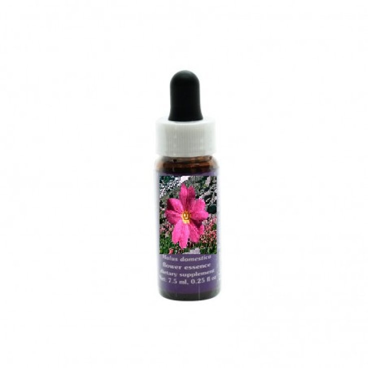 Natur Sierra Primrose Californian Floral Essences 7,4ml