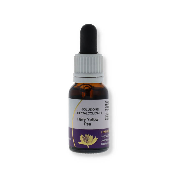 Natur Hairy Yellow Pea Australian Floral Essences 15ml