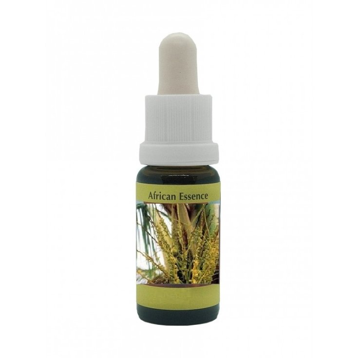 Coconut Palm Essences Korte 15ml