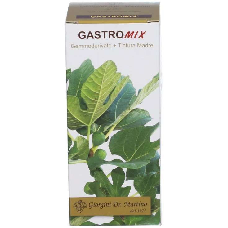 Gastromix Non-alcoholic Liquid Dr. Giorgini 100ml