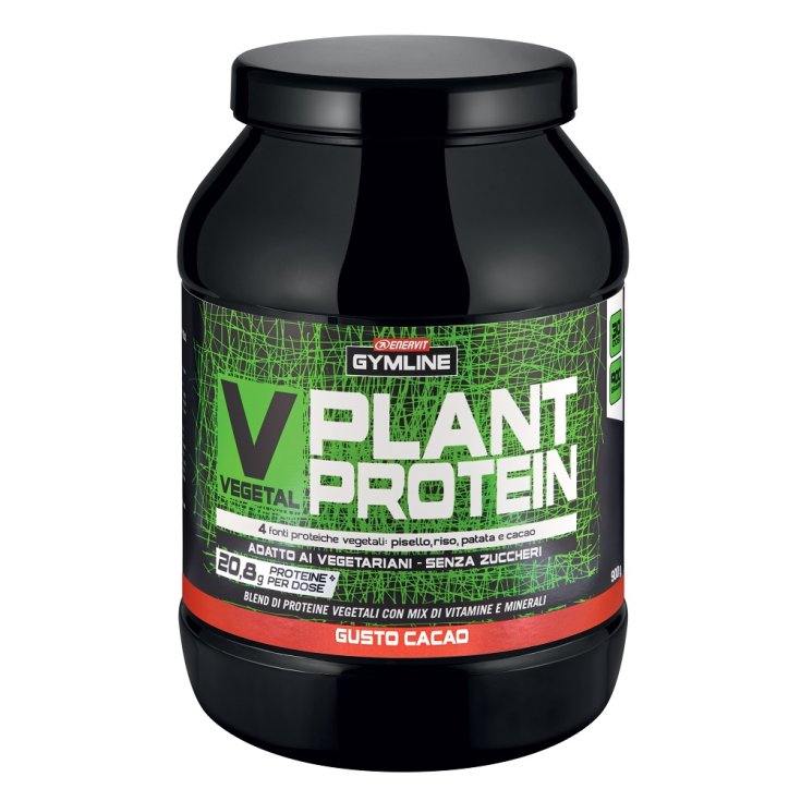 V-Vegetal Plant Protein Blend Cocoa Taste Enervit Gymline 900g