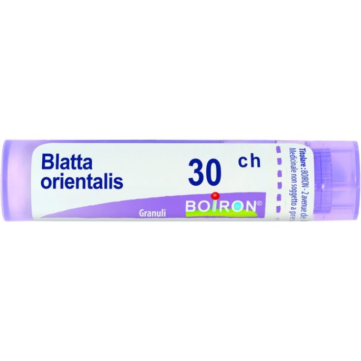 Cockroach Orientalis 30ch Boiron Granules 4g