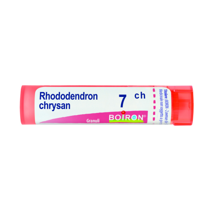 Boiron Rhododendron Chrysan 7ch Granules