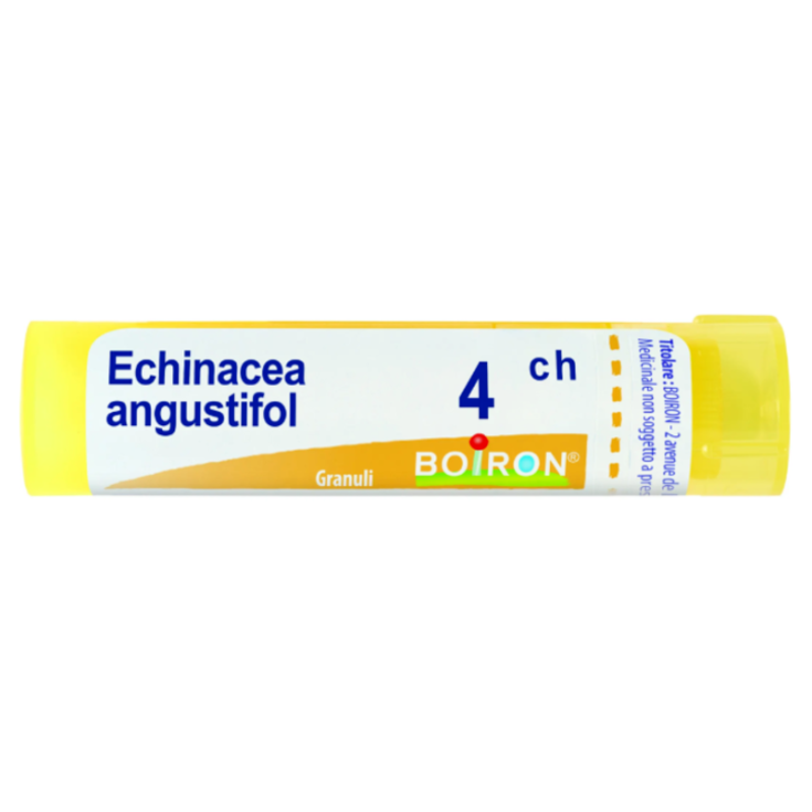 Echinacea Angust 4ch Boiron Granules