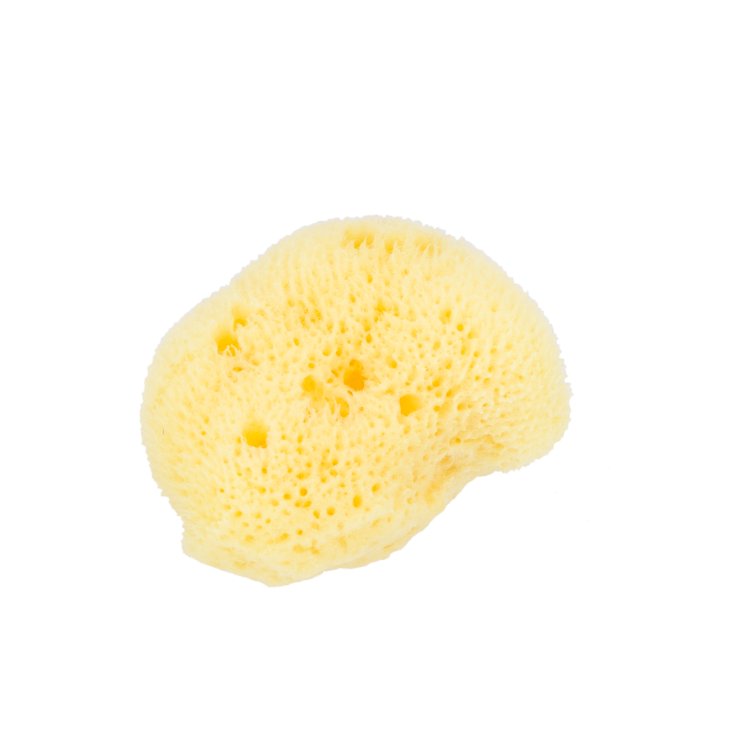 Natural Sponge Medium Beautytime Face Make-up Remover