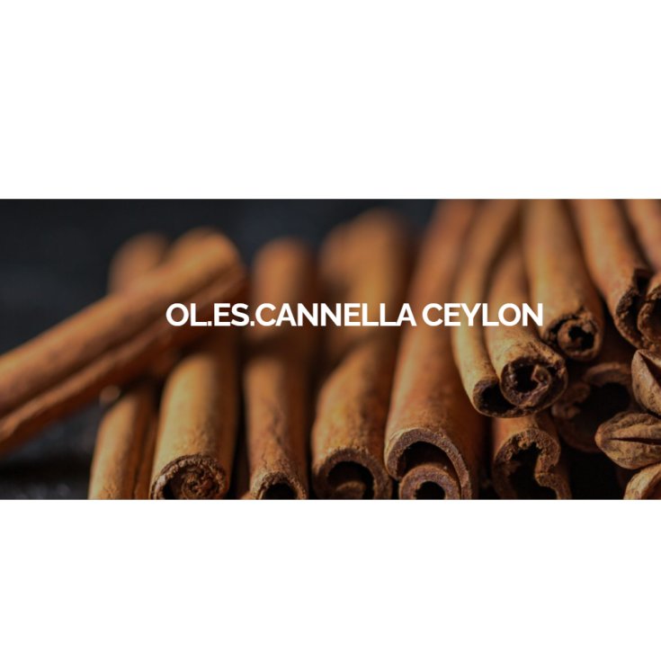 Cinnamon Ceylon Oil Ess 100g