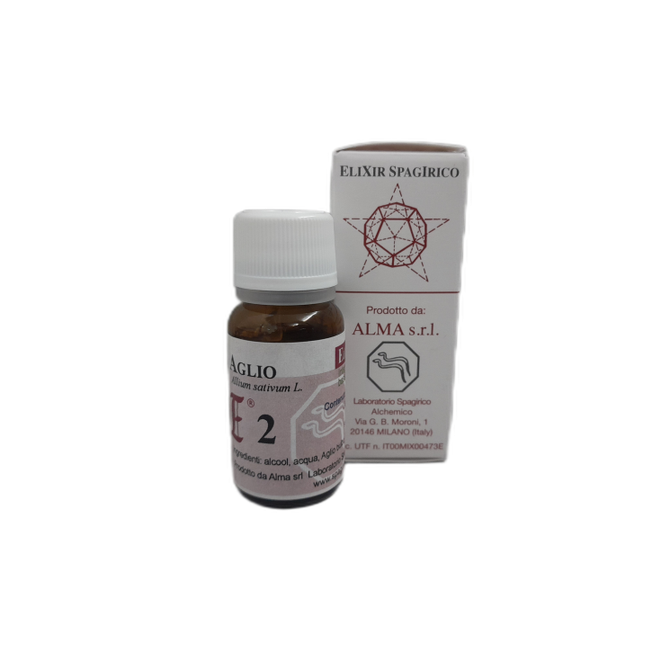 E2 Garlic 10ml