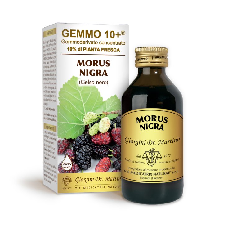 G10 + Non-alcoholic Liquid Black Mulberry Dr. Giorgini 100ml