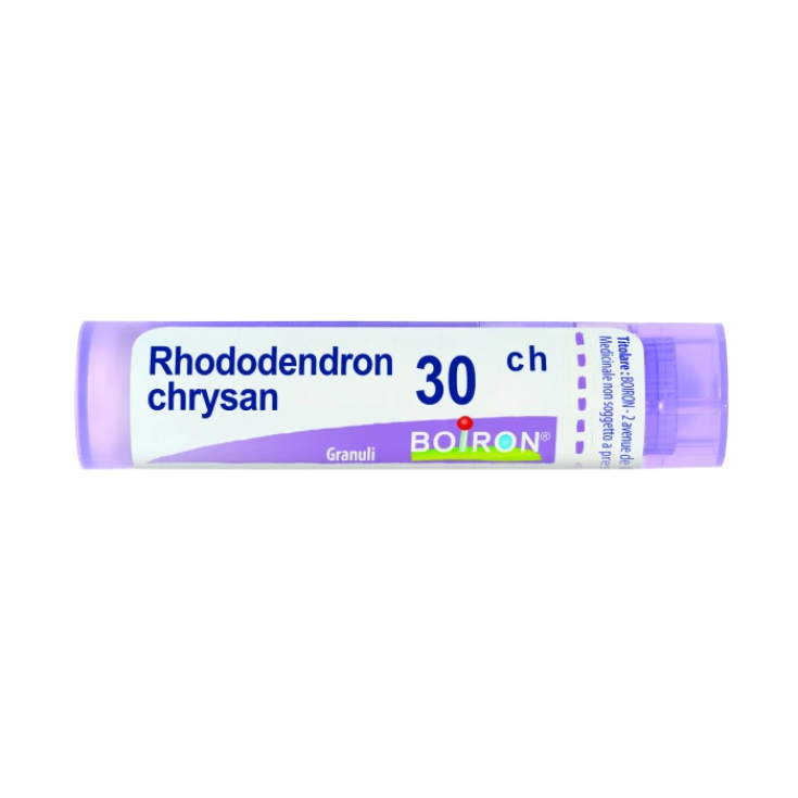 Boiron Rhododendron Chrysan 30ch Granules Homeopathic Remedy