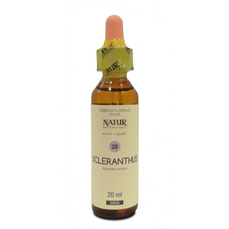 Natur Bach Center Sclerantus Essence Homeopathic Remedy 20ml