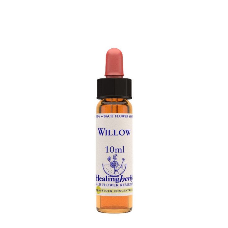 Natur Willow Essence Homeopathic Remedy 10ml