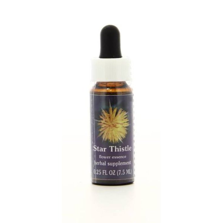 Natur Star Thistle Californian Essences 7,4ml